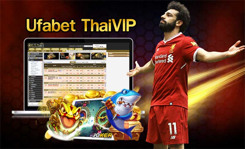 สมัคร UFABET THAIVIP เว็บตรง