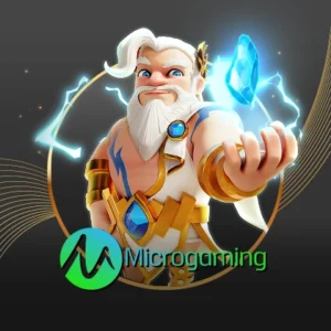 เข้าเล่น