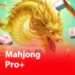 เข้าเล่น