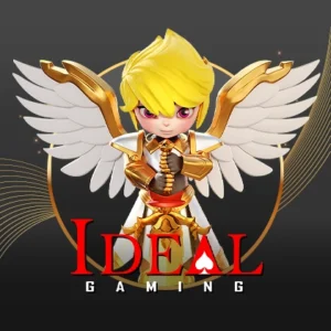 เข้าเล่น