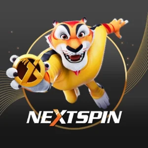 เข้าเล่น