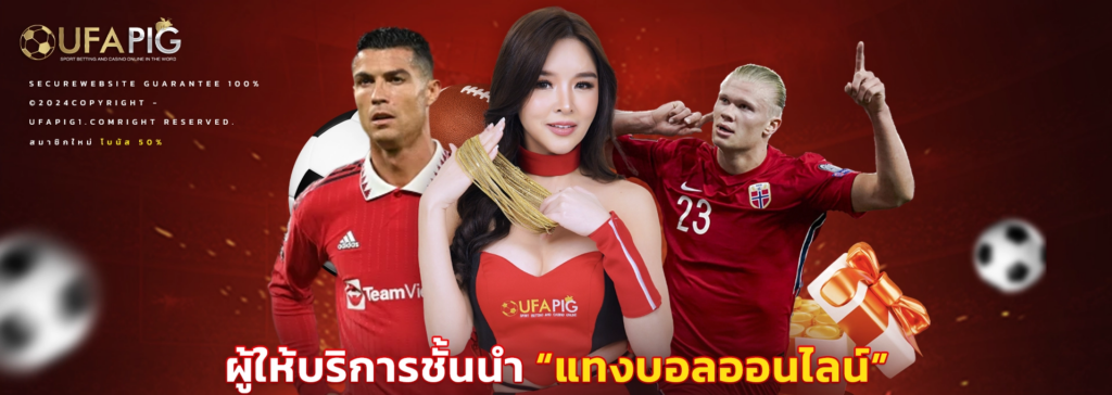 สมัคร UFA PIG เปิดประสบการณ์แทงบอลแบบมืออาชีพ